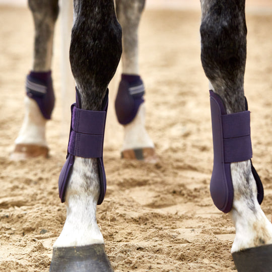 Horze Adepto Tendon Boots image 