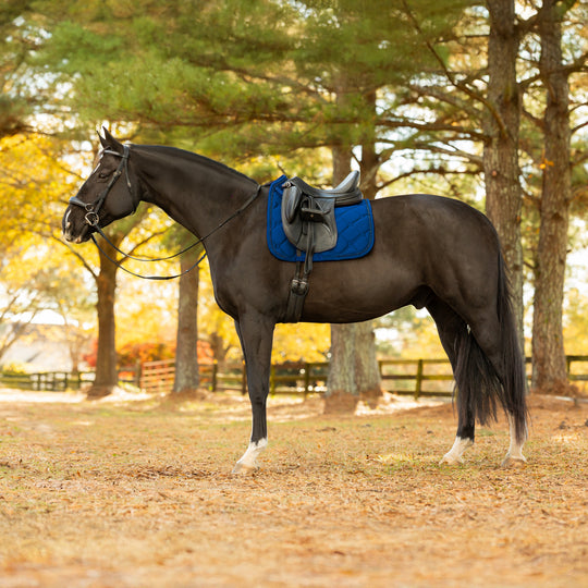 Equinavia Bergen Crystal Dressage Saddle Pad image 
