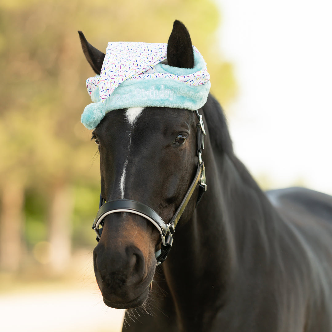 Equinavia Horse Birthday Hat image 
