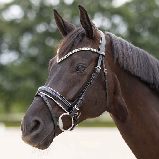 Horze Grayson Classic Dressage Ergonomic Bridle image 
