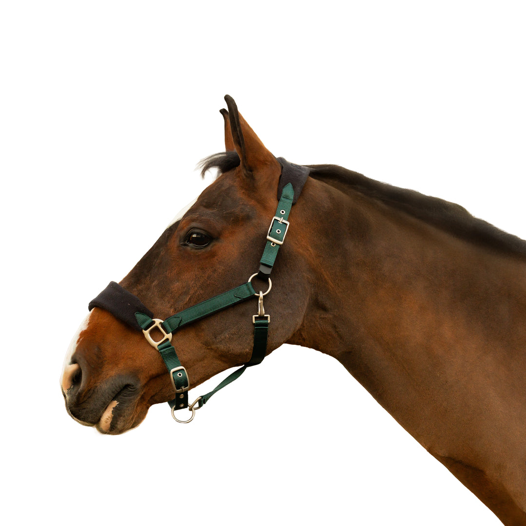 Equinavia Saga Fleece Padded Breakaway Halter image #1