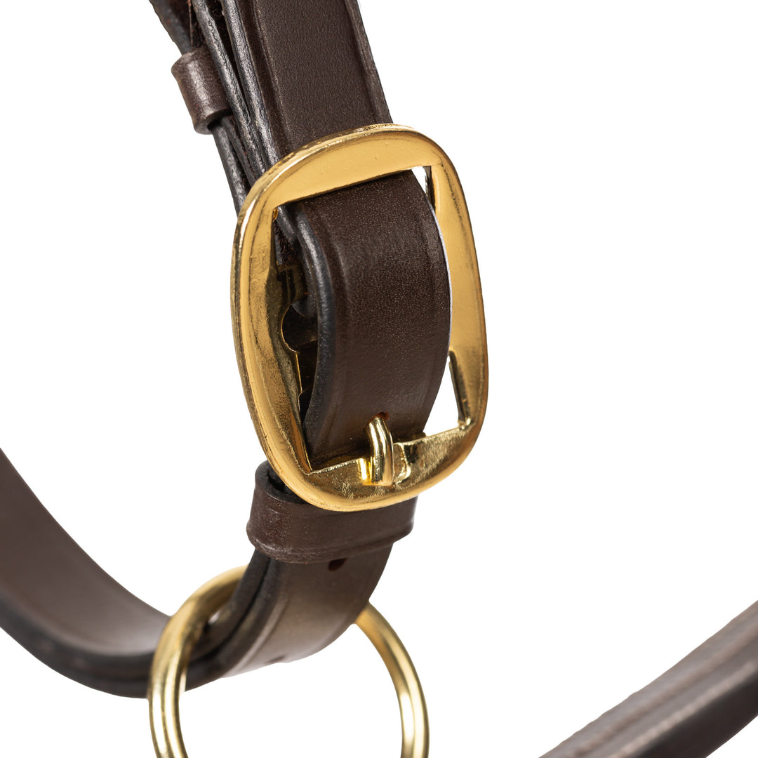 Equinavia Valkyrie Triple Stitched Leather Halter image 