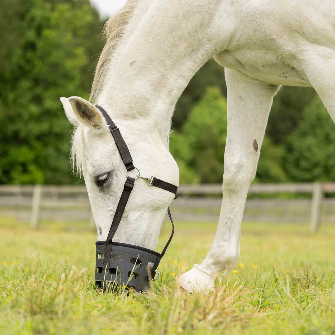 Equinavia Breakaway Grazing Muzzle image #1