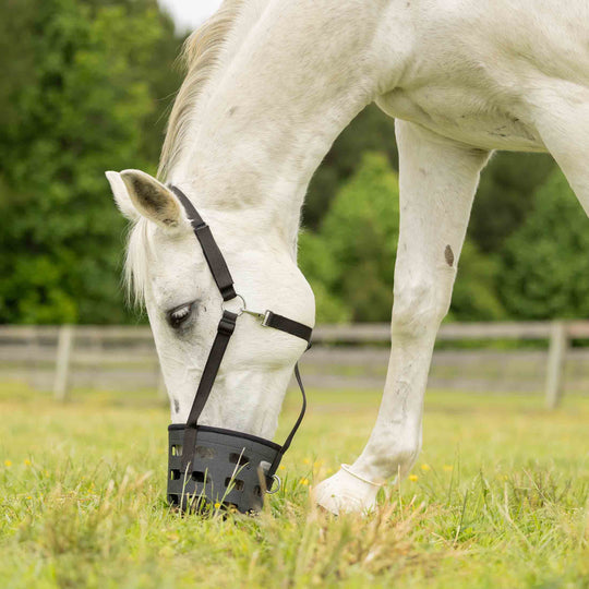 Equinavia Breakaway Grazing Muzzle image 