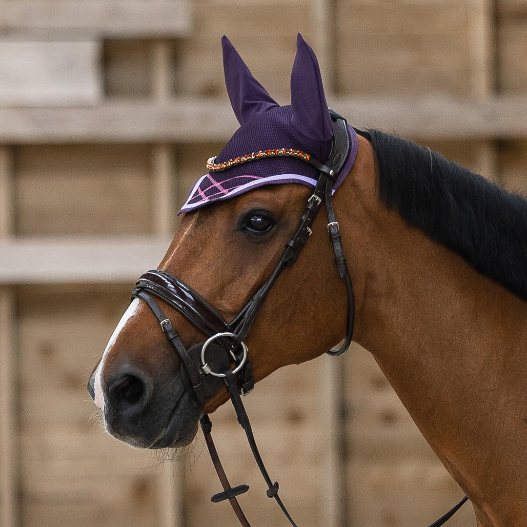 Horze Clermont Ergonomic Crystal Bridle image 