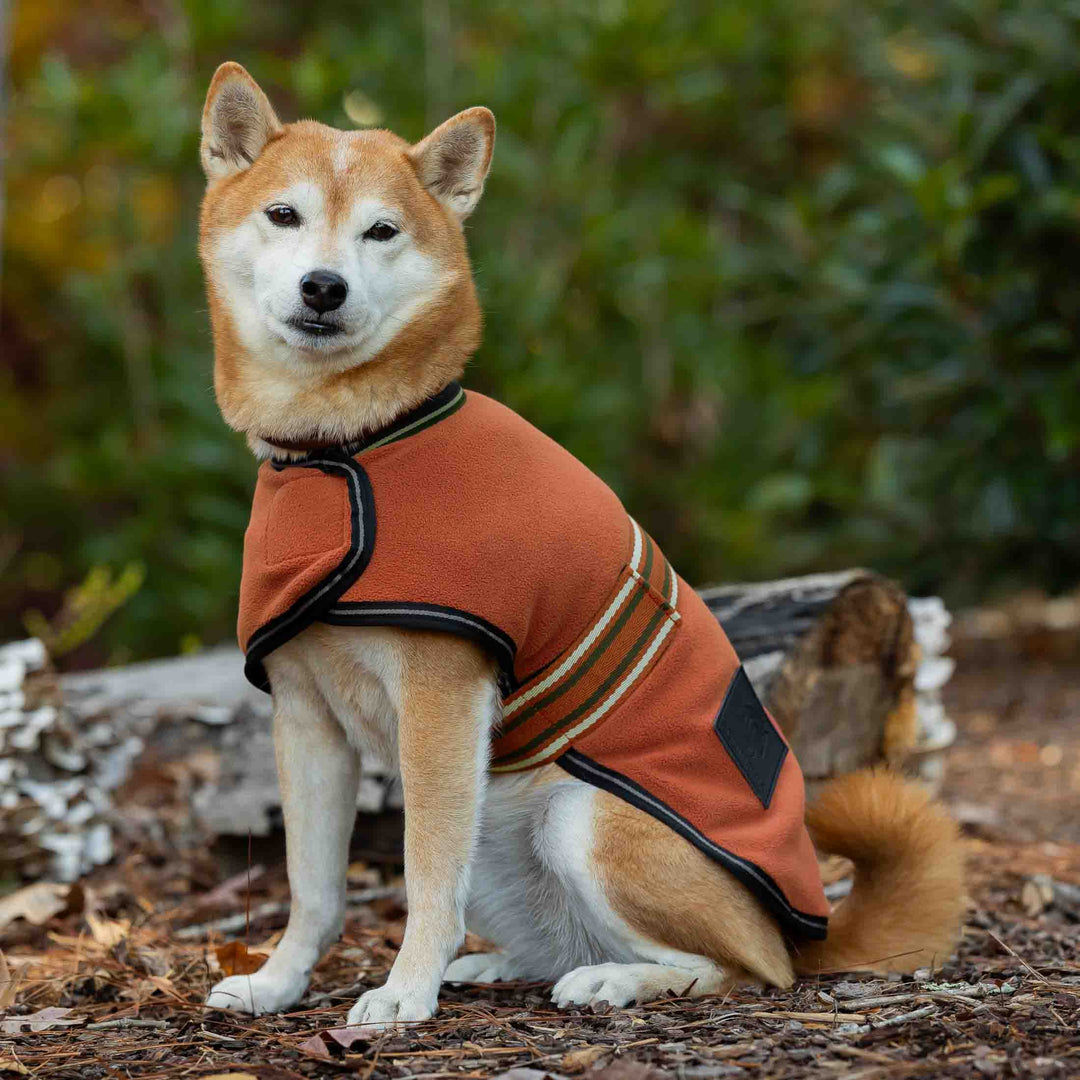 Equinavia Norse Fleece Dog Coat image 