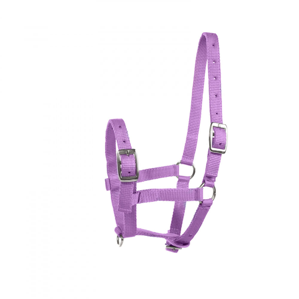 Horze Foal Halter image #1