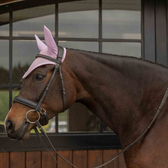 Equinavia Svalbard Ear Net with NordicAir™ Tech image 