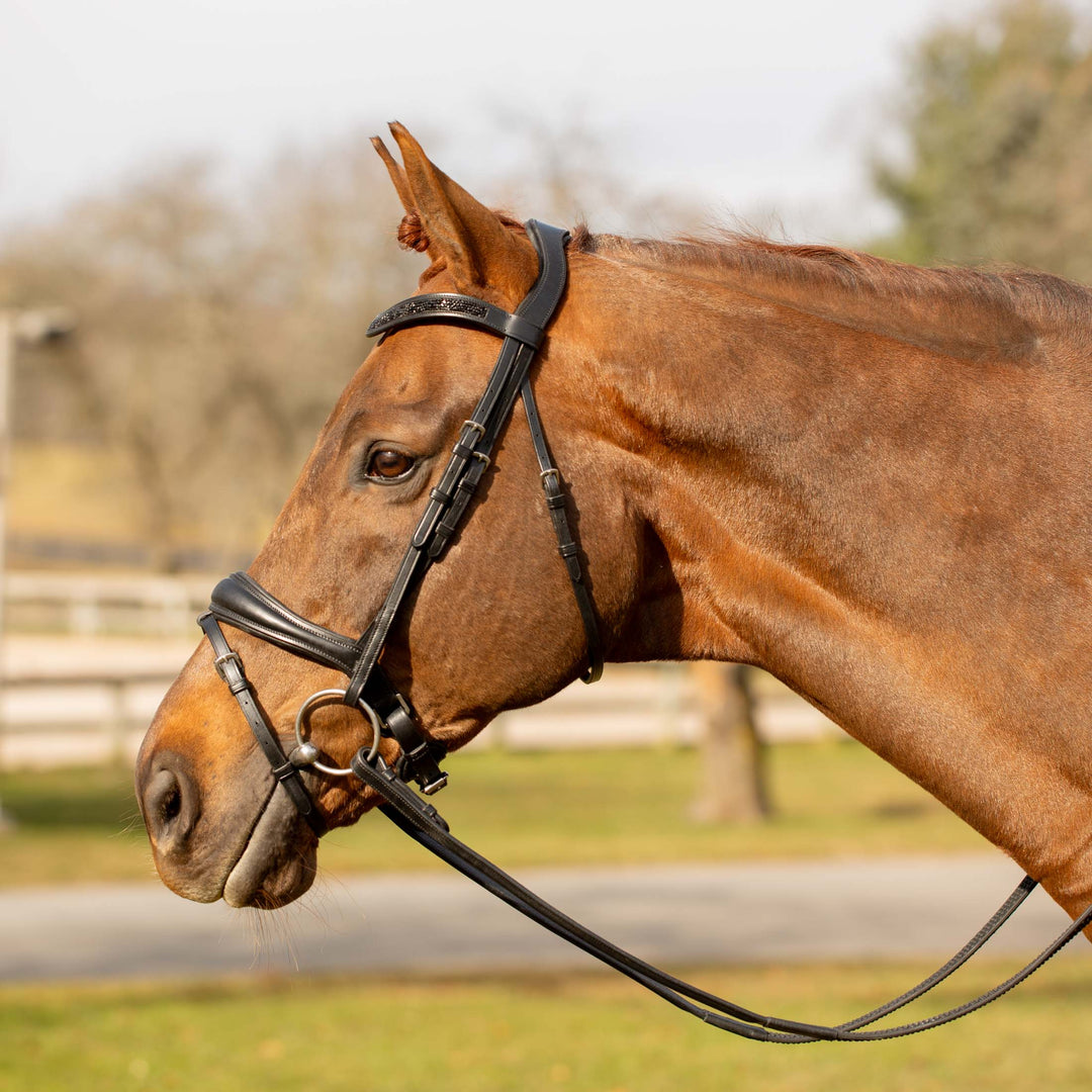 Equinavia Valkyrie Anatomic Dressage Bridle with Rubber Reins image #1