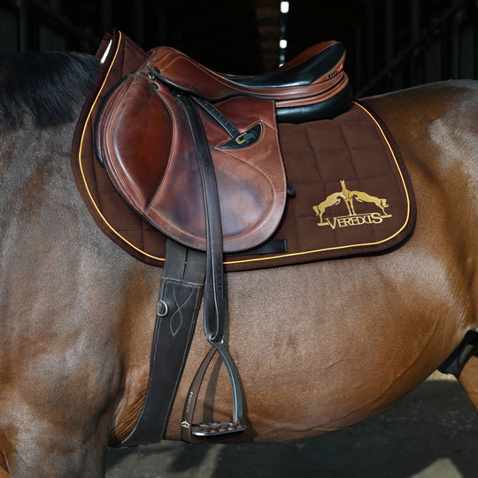 Veredus Vita Stirrup Steel1 image 