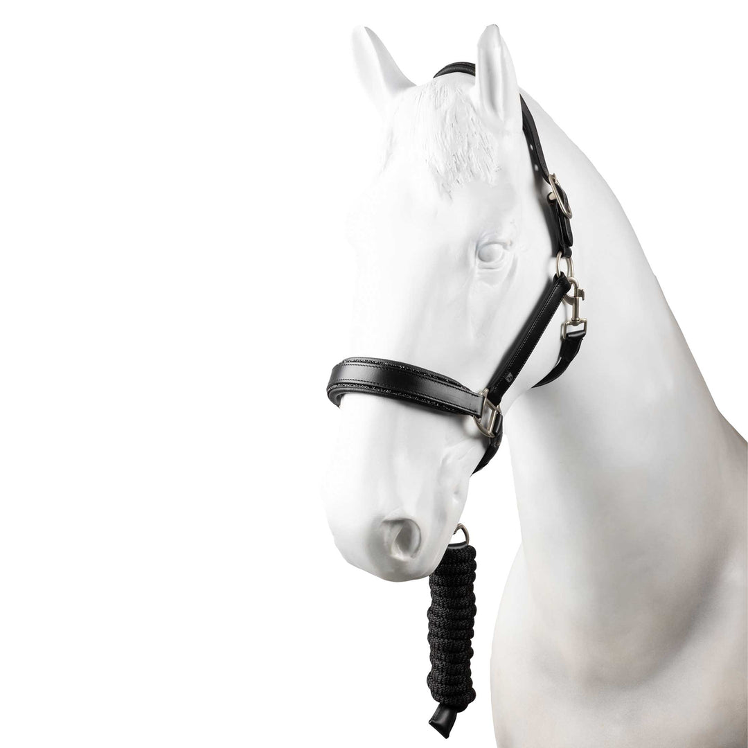 Horze Dynasty Crystal Leather Halter and Lead Set image #1