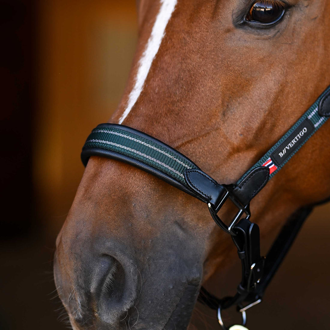 B Vertigo Lennox Leather Halter image 