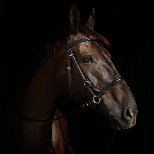 Horze Denver Bitless Bridle image 