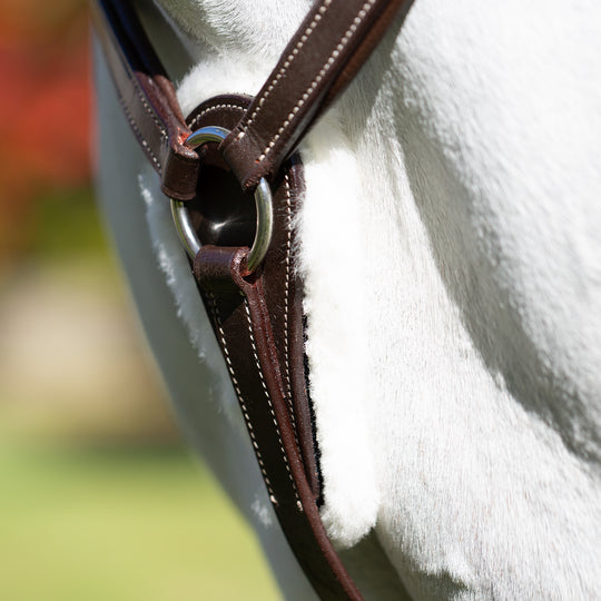 Equinavia Saga 5-point Breastplate image 