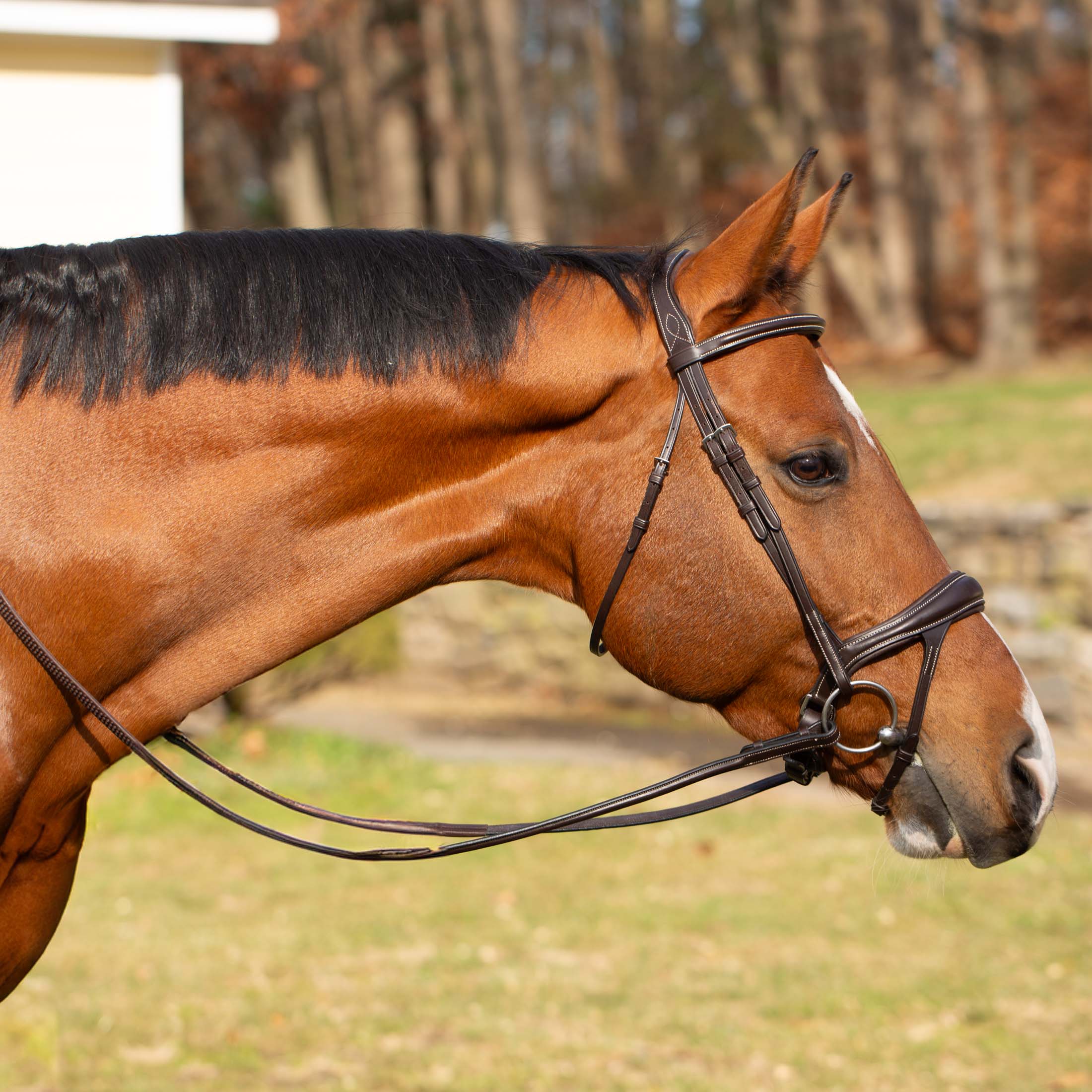 Equinavia Valkyrie Alternative Flash Bridle with Rubber Reins image #1