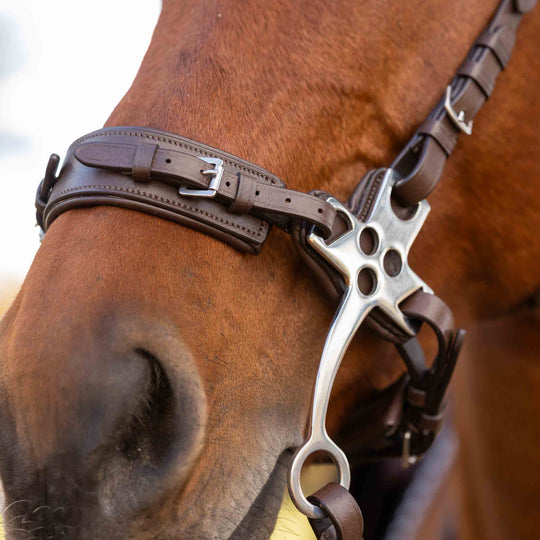 Equinavia Saga Hackamore Noseband image 