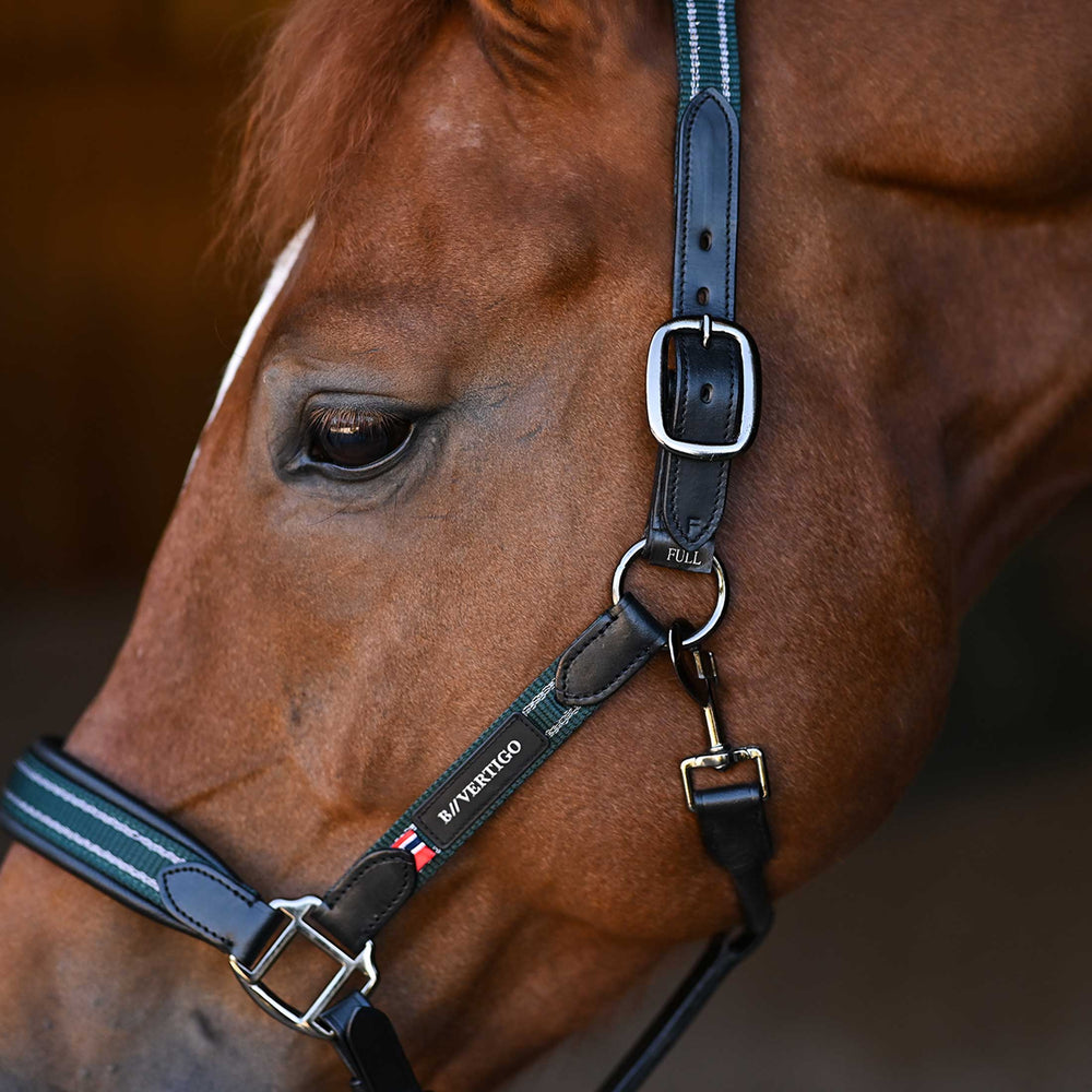 B Vertigo Lennox Leather Halter image #2