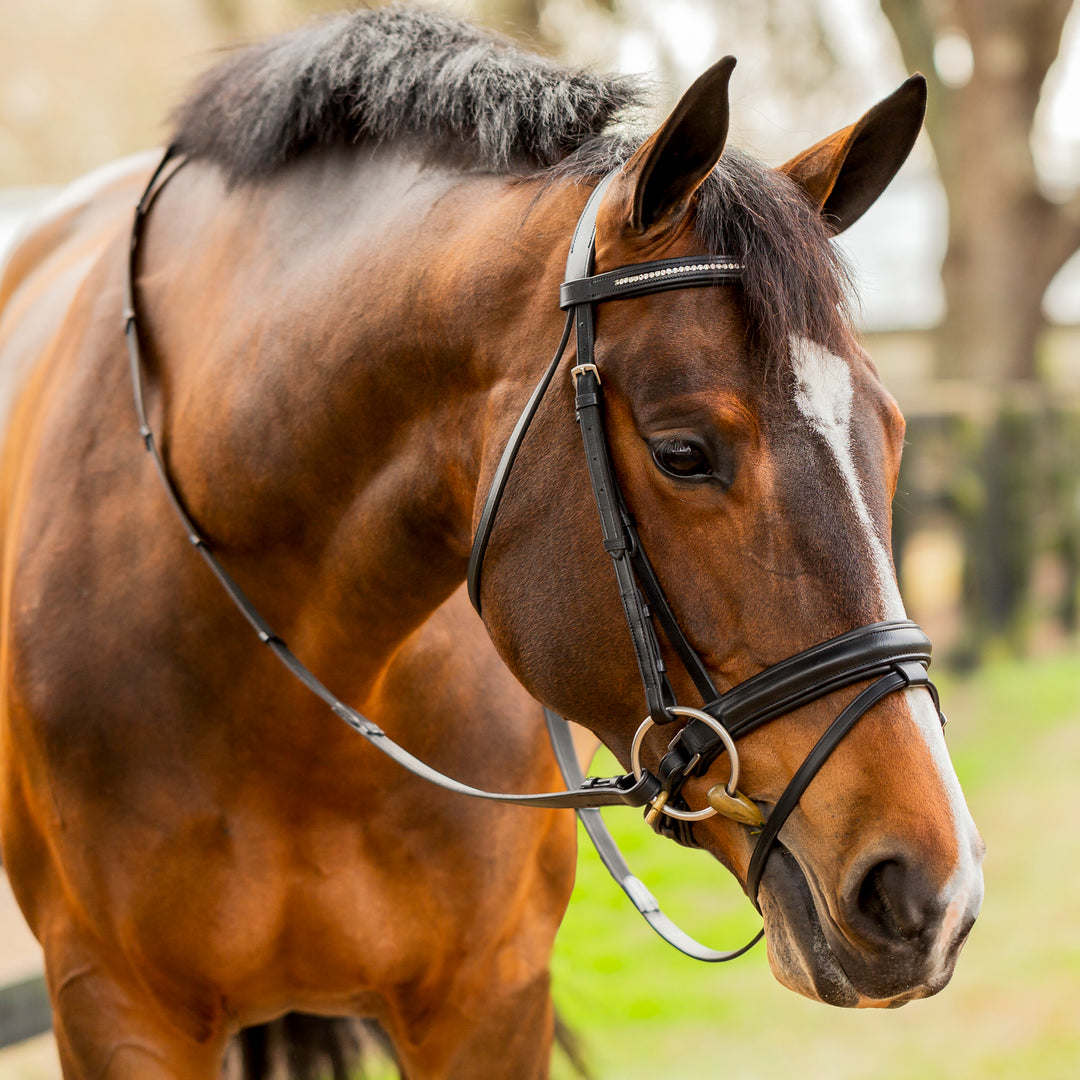 Equinavia Saga Dressage Crank Noseband Bridle &amp; Reins image 
