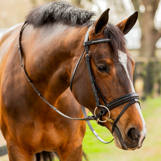 Equinavia Saga Dressage Crank Noseband Bridle &amp; Reins image 