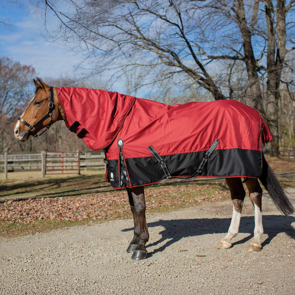 Equinavia Norse Mid Weight Turnout Blanket 200g image #2