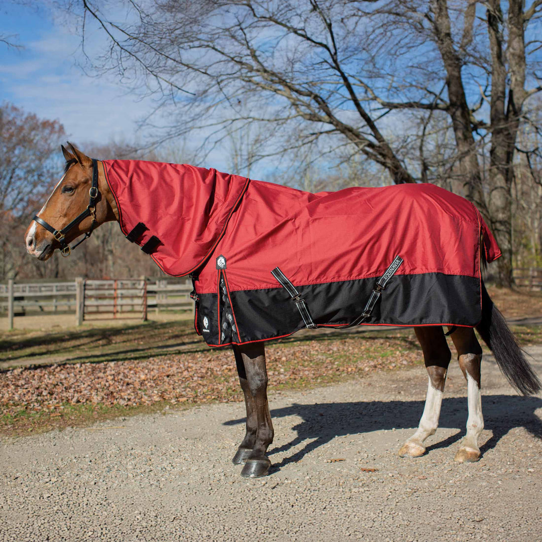 Equinavia Norse Mid Weight Turnout Blanket 200g image 
