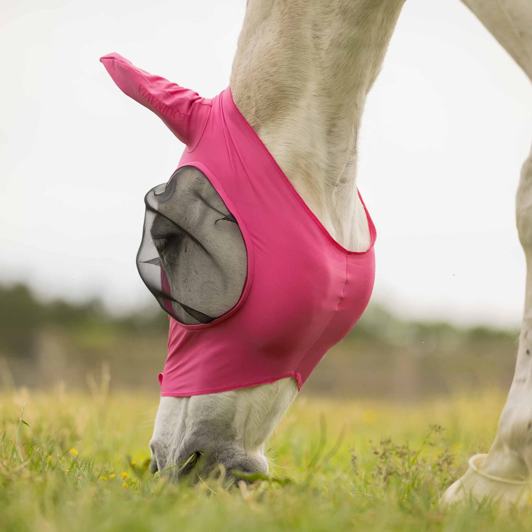 Equinavia Bug Out Fly Mask image 