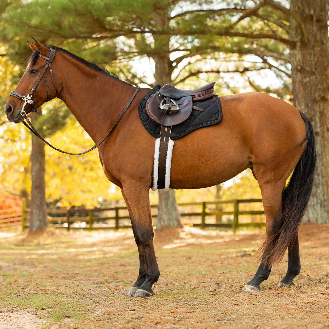 Equinavia Bergen Crystal All Purpose Saddle Pad image 