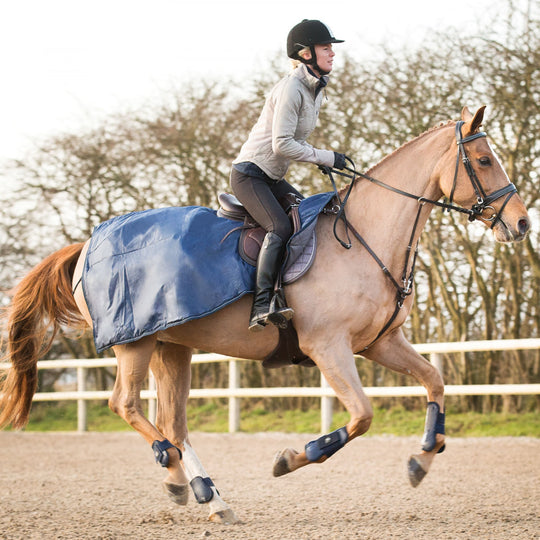 Horze Venice Combined Running Martingale Breastplate image 