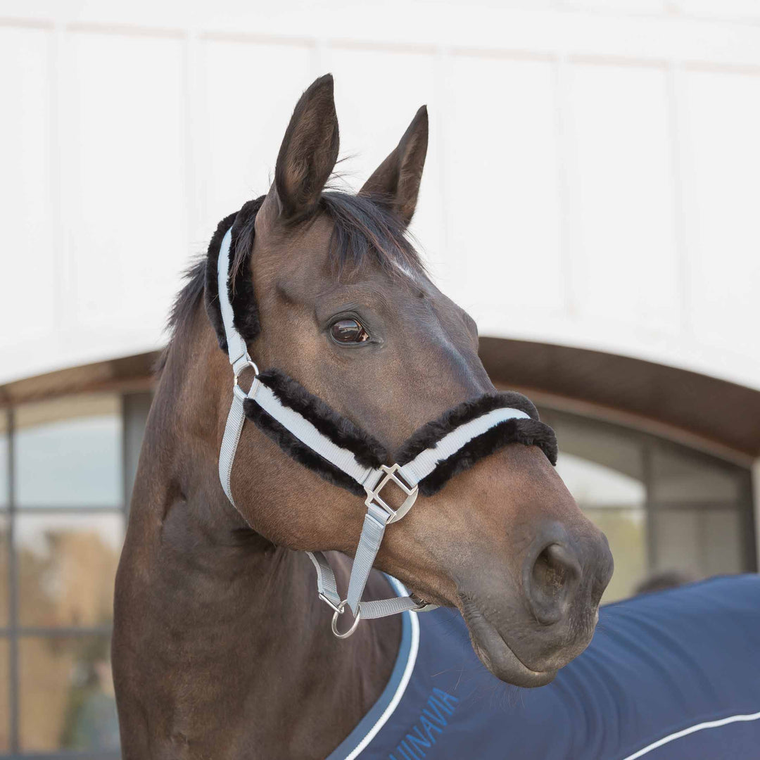 Equinavia Valkyrie Ultra Fleece Breakaway Halter image 