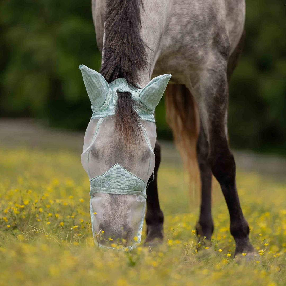 Equinavia Algard Soft Mesh Long Nose Fly Mask image 
