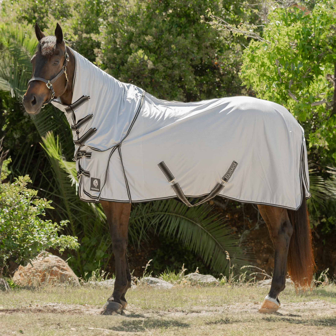 Equinavia Aktiv Athletic Detachable Neck Fly Sheet image #1
