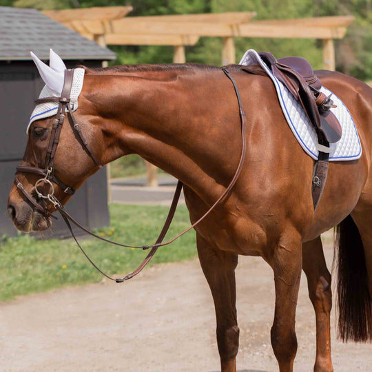 Equinavia Voss Dressage Saddle Pad and Bonnet Set image 