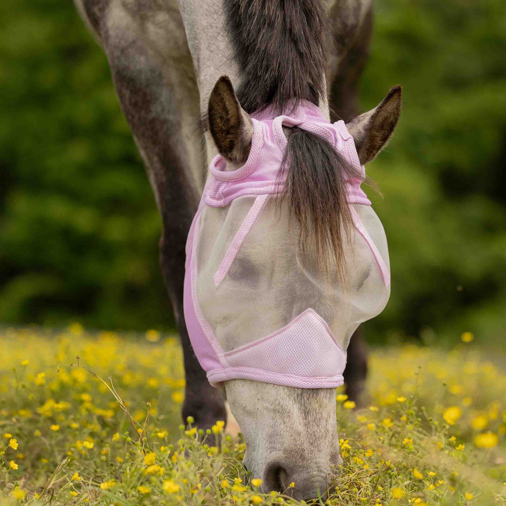 Equinavia Algard Soft Mesh Earless Fly Mask image #2