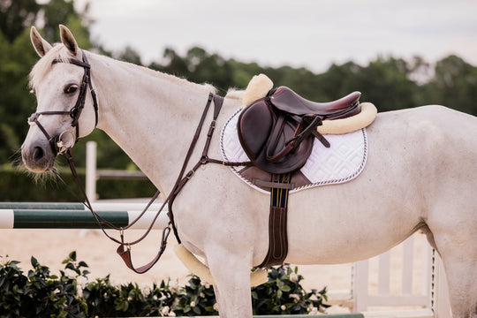 Equinavia Valkyrie Anatomical Long Girth image 