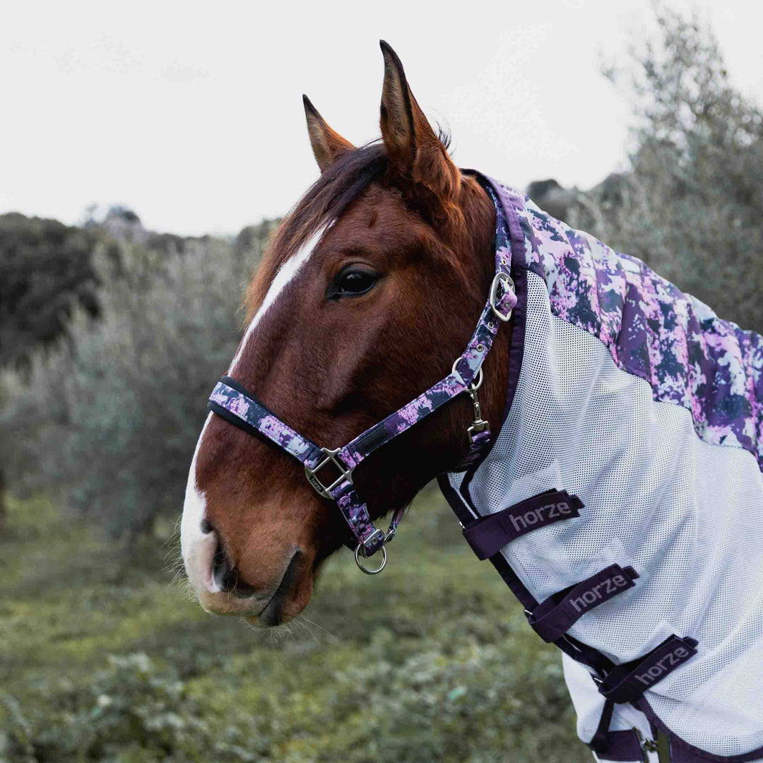 Horze Dreamer Soft Lined Halter image 