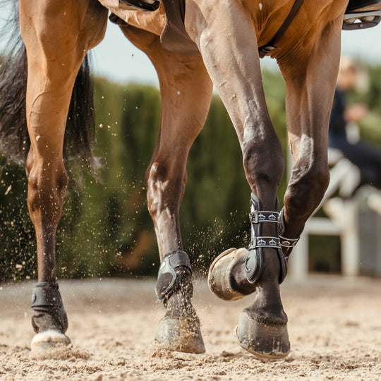 Veredus Carbon Gel Vento Rear Fetlock Boots image 