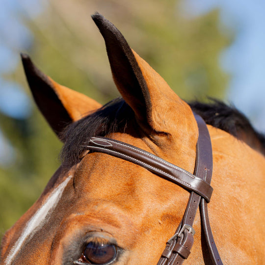 Equinavia Valkyrie Classic Wide Noseband Hunter Bridle with Reins image 