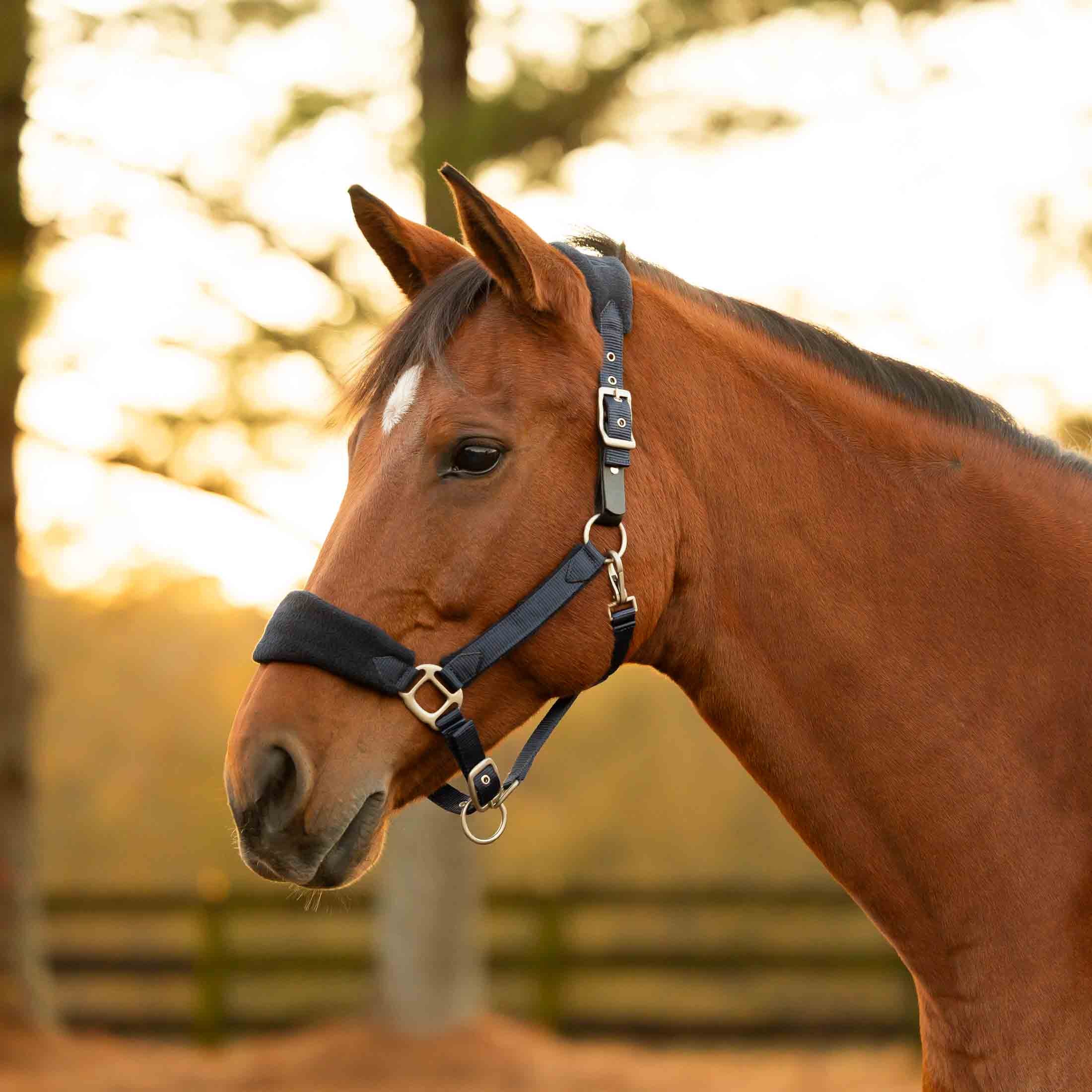 Equinavia Saga Fleece Padded Breakaway Halter image #1