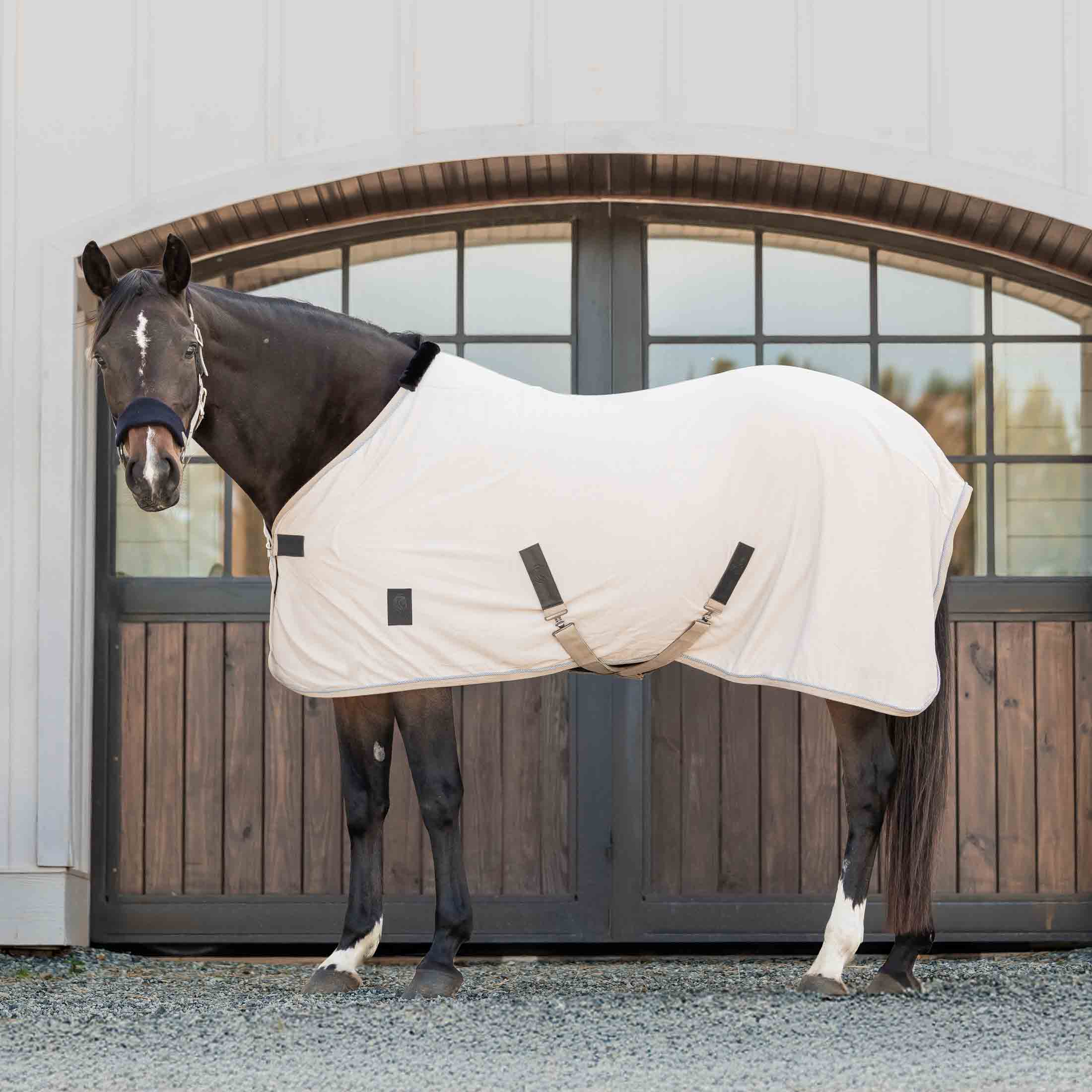 Equinavia Torr Quick Dry Cooler image #1