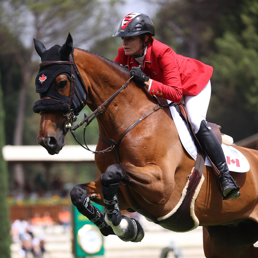 Veredus Carbon Gel Absolute X Pro Front Tendon Boots image 