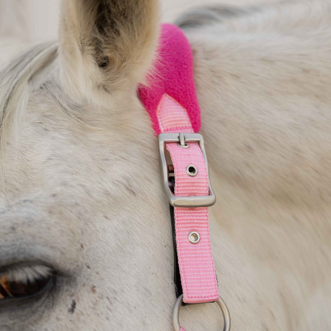 Equinavia Saga Fleece Padded Breakaway Halter image 