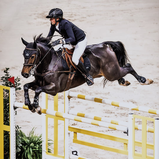 Veredus Pro Jump Active Rear Fetlock Boots image 
