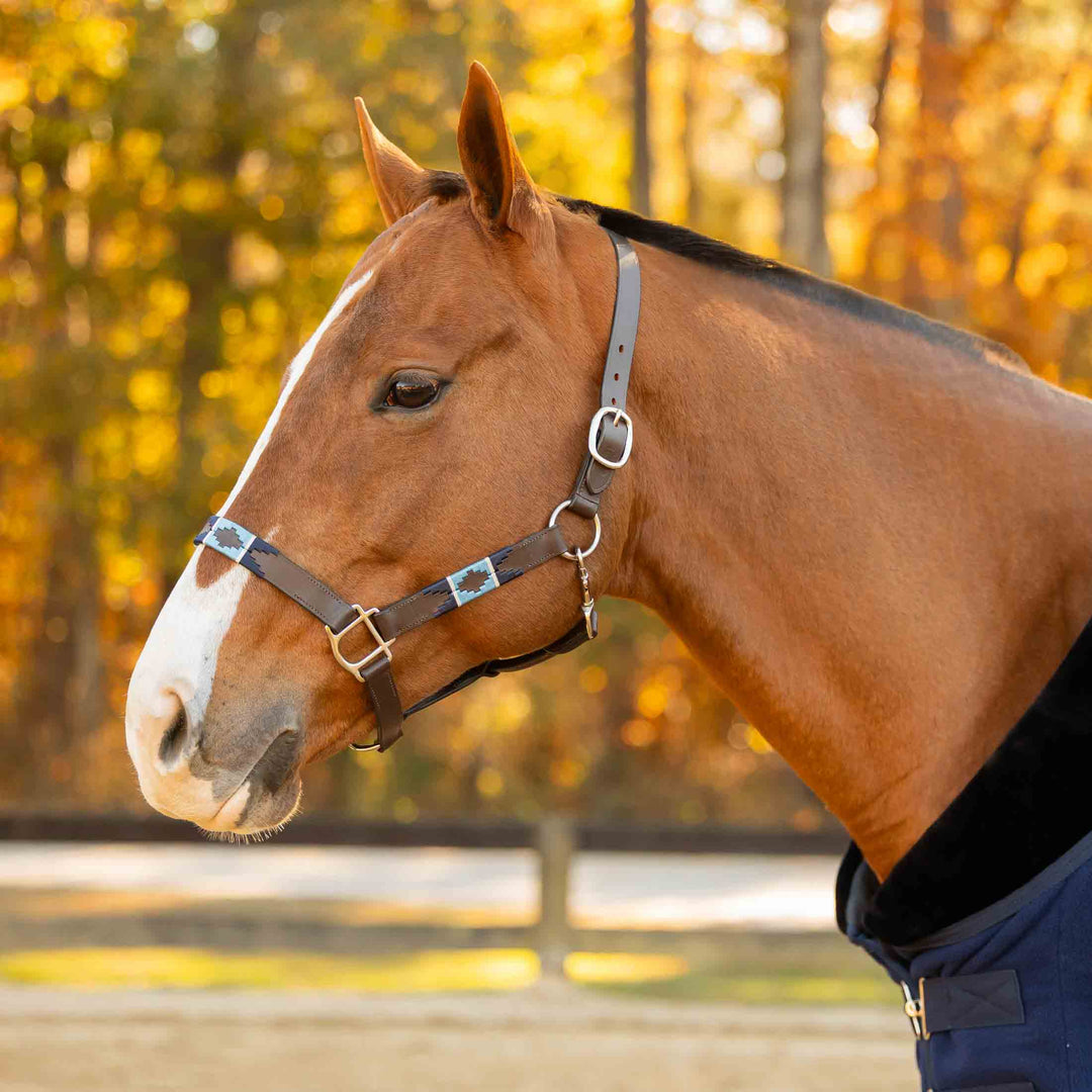 Equinavia Siri Polo Leather Halter image 