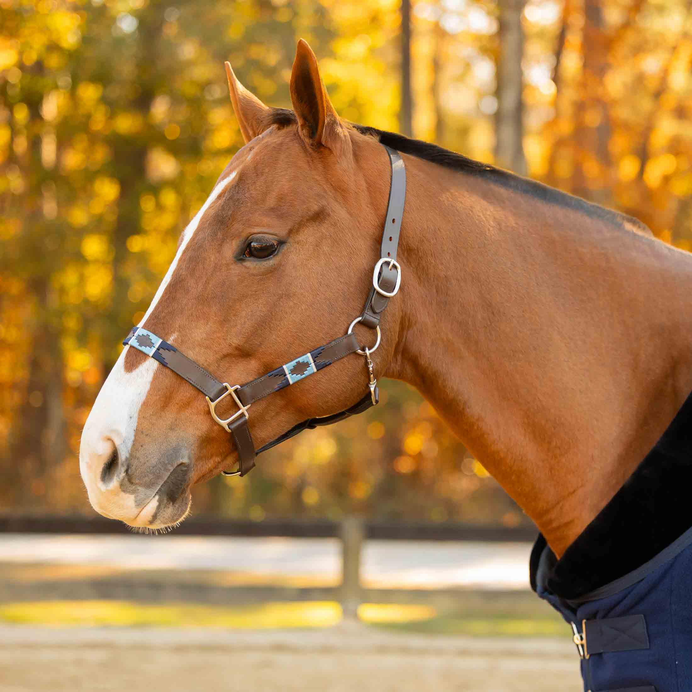 Equinavia Siri Polo Leather Halter image #1