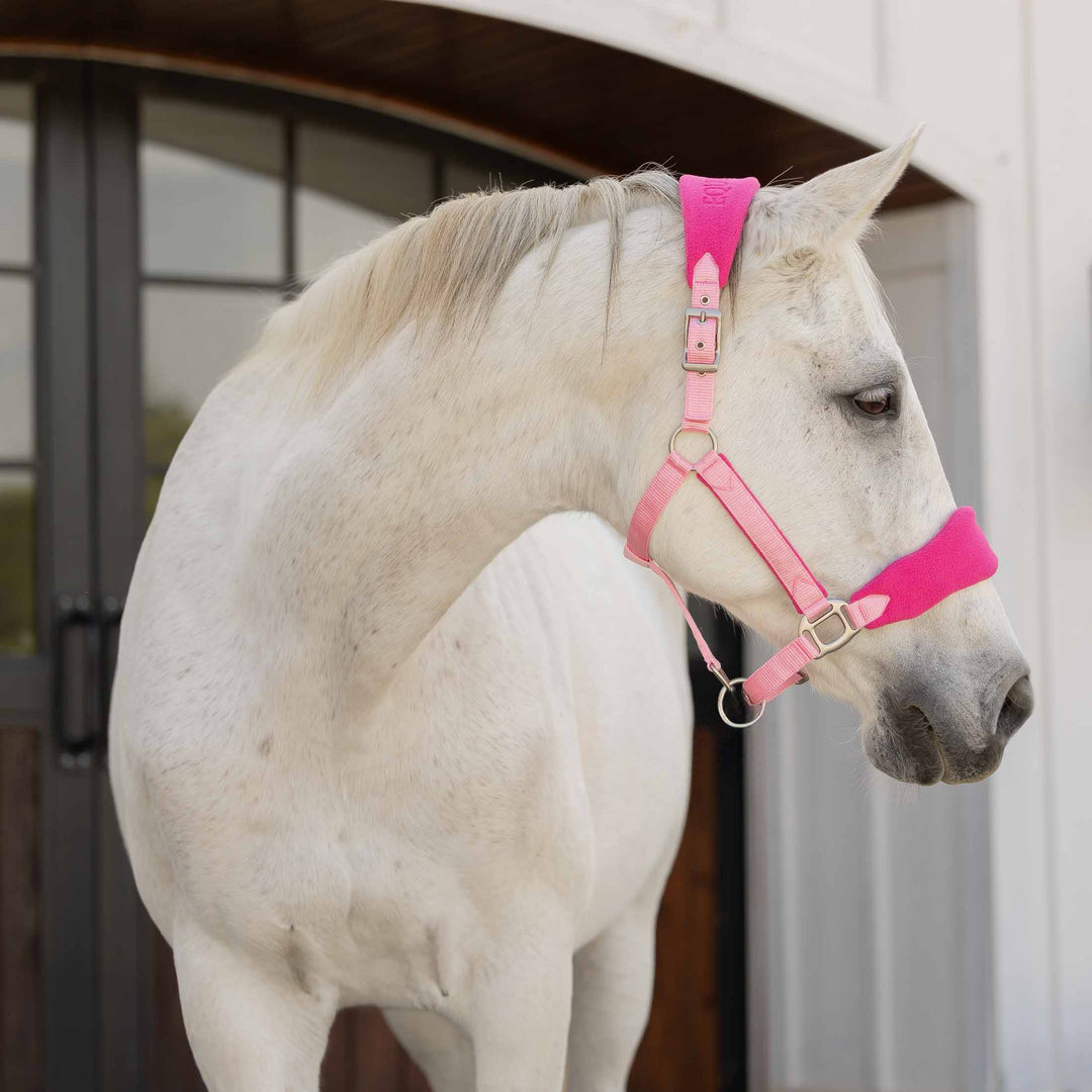 Equinavia Saga Fleece Padded Breakaway Halter image 