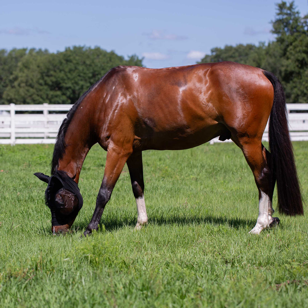 Equinavia Bug Out Fly Mask image #2