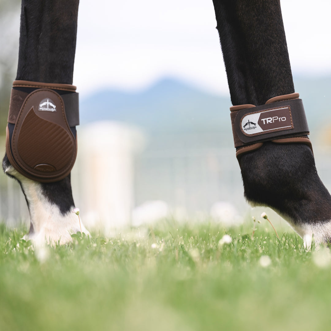 Veredus TR Pro Rear Fetlock Boots image 