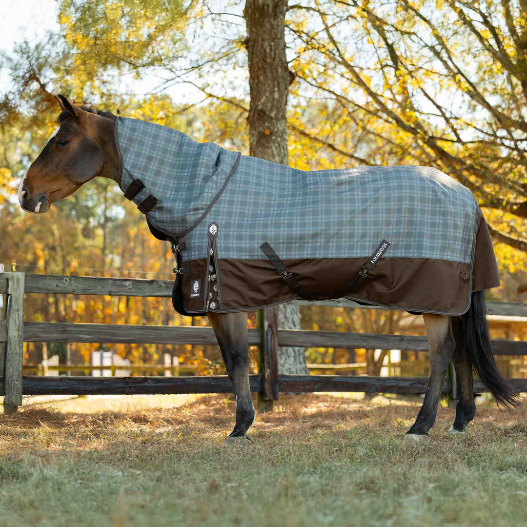 Equinavia Arktis Regular Neck Mid Weight Turnout Blanket 200g image 
