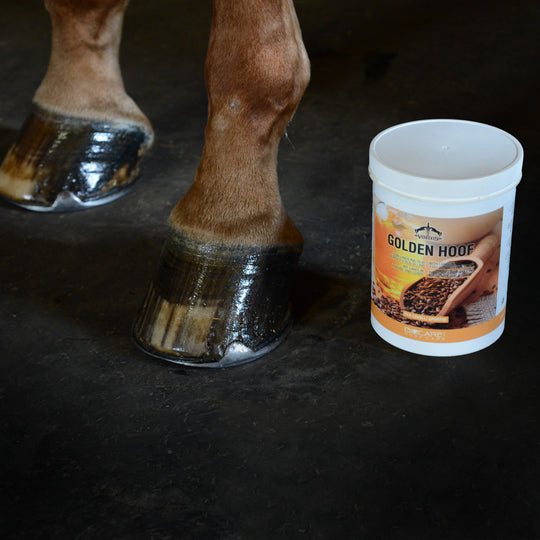 Veredus Golden Hoof image 