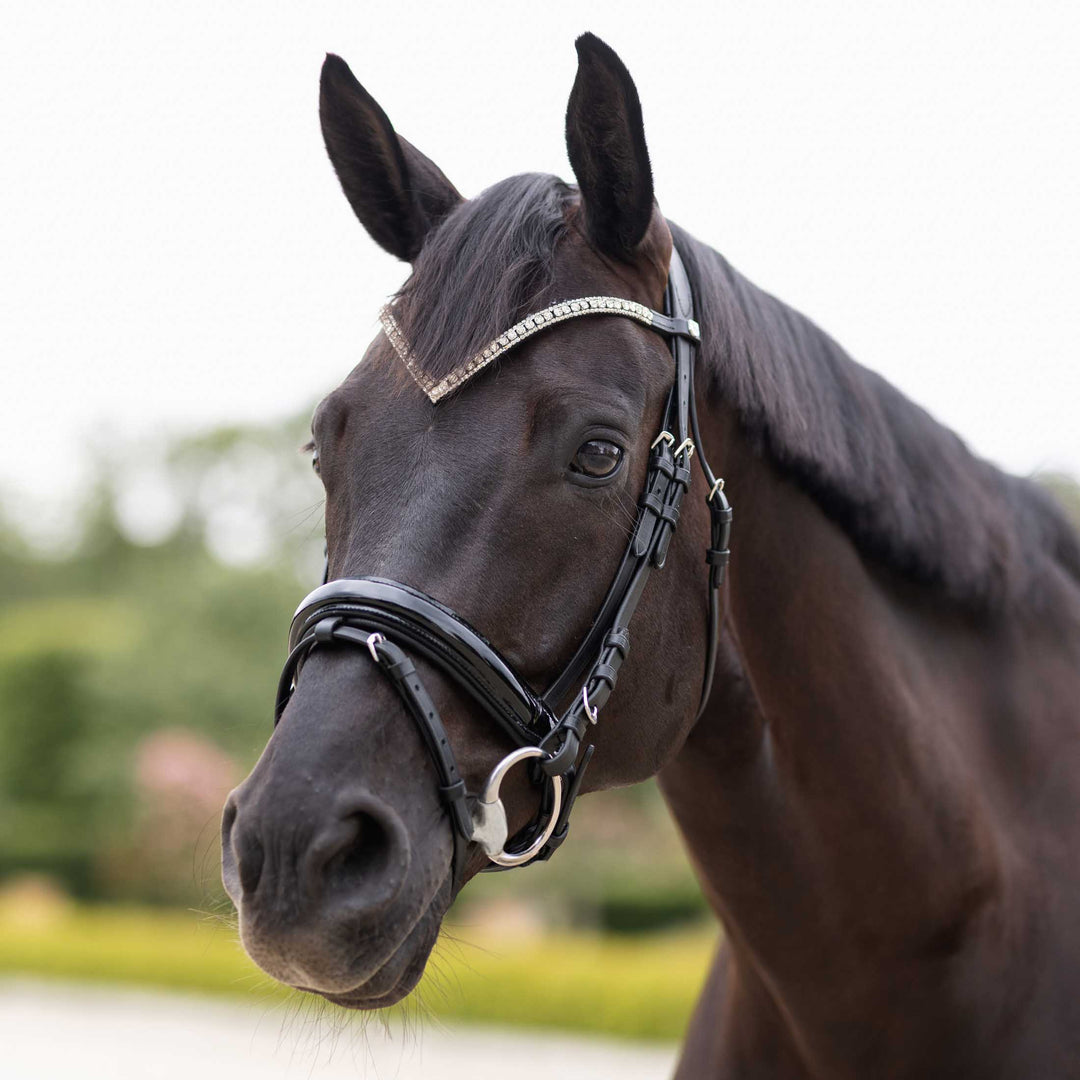 Horze Grayson Classic Dressage Ergonomic Bridle image 